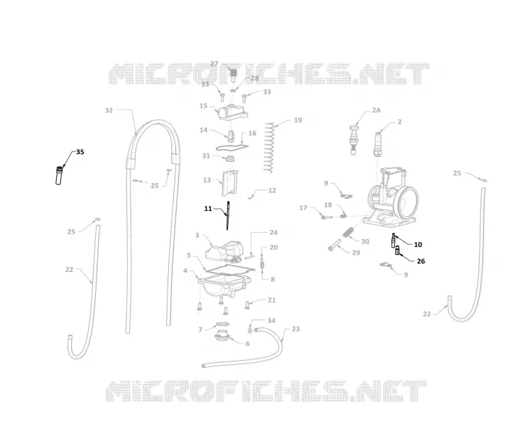HOMOLOG KIT