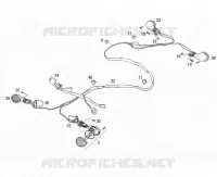 FRECCIA LAMPEGGIATORE
