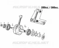ALBERO MOTORE