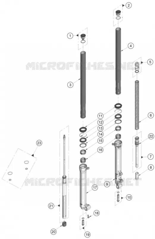 FORCELLA ANTERIORE (COMPONENTI)