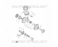 ALBERO MOTORE 250/300