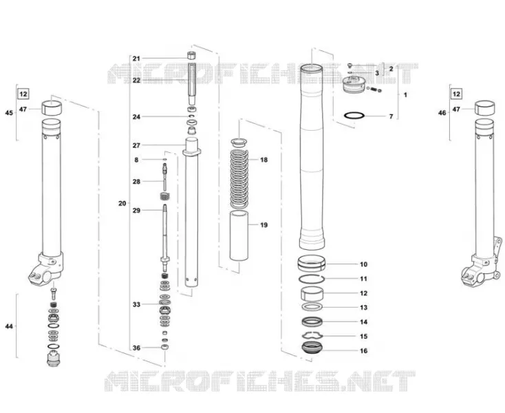 FORCELLA ANTERIORE