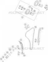 DISTRIBUZIONE 