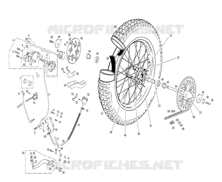 RUOTA / FRENO POSTERIORE