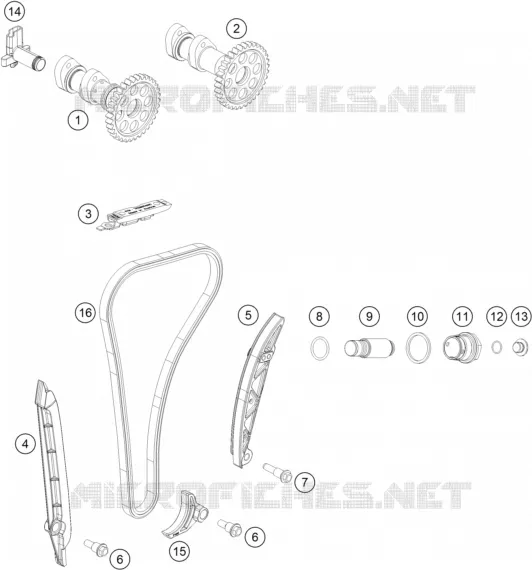 DISTRIBUZIONE 