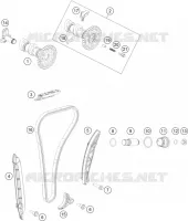 DISTRIBUZIONE 