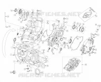 CARTER MOTORE / KIT GUARNIZIONI