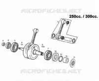 ALBERO MOTORE