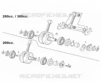 ALBERO MOTORE