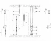 FORCELLA ANTERIORE