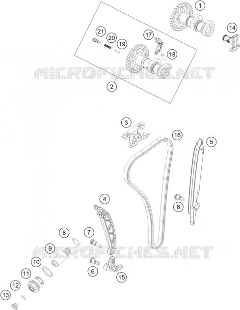 DISTRIBUZIONE 