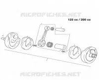 ALBERO MOTORE