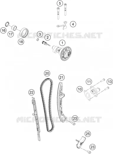 DISTRIBUZIONE 