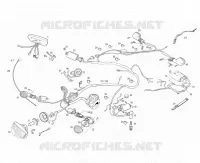 ELETTRICO