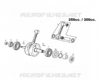 ALBERO MOTORE
