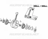 ALBERO MOTORE