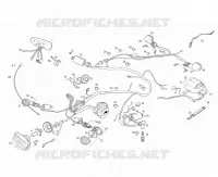 ELETTRICO