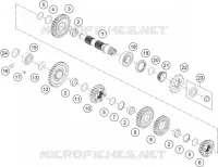 CAMBIO DI VELOCITA - ALBERO SECONDARIO
