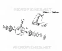 ALBERO MOTORE