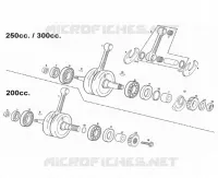 ALBERO MOTORE