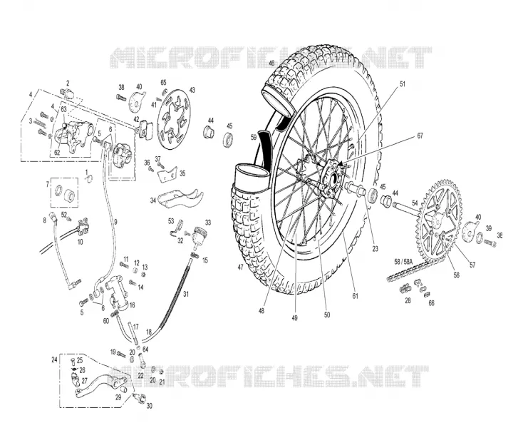 RUOTA / FRENO POSTERIORE