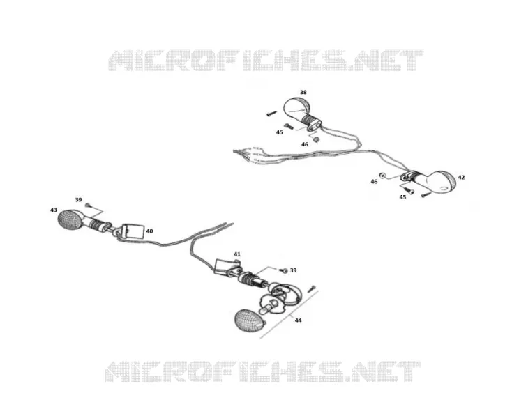 FRECCIA LAMPEGGIATORE