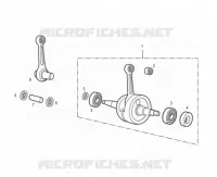 ALBERO MOTORE