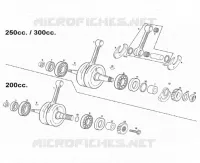 ALBERO MOTORE