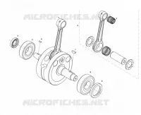 ALBERO MOTORE