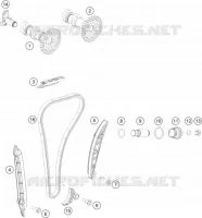 DISTRIBUZIONE 