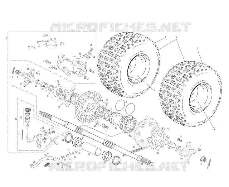 HOMOLOG KIT