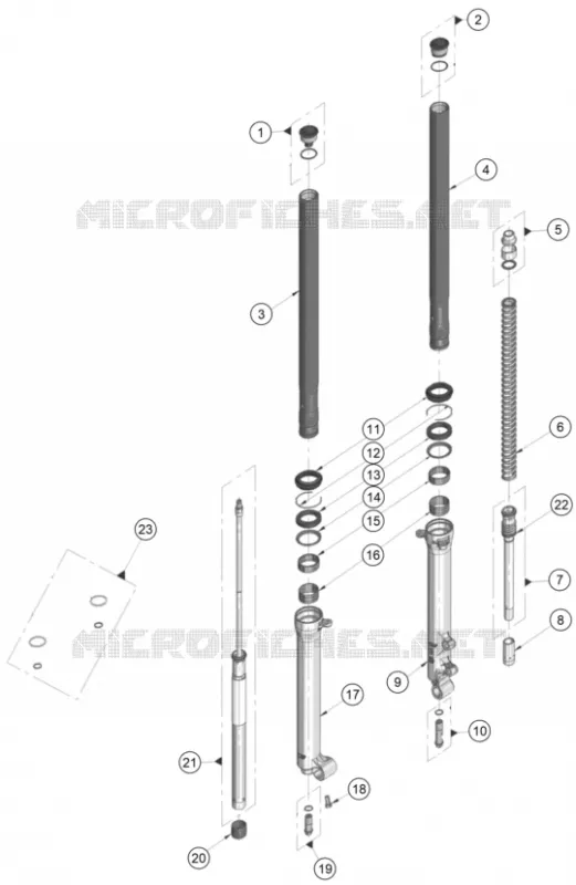 FORCELLA ANTERIORE (COMPONENTI)