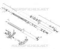 FORCELLA ANTERIORE