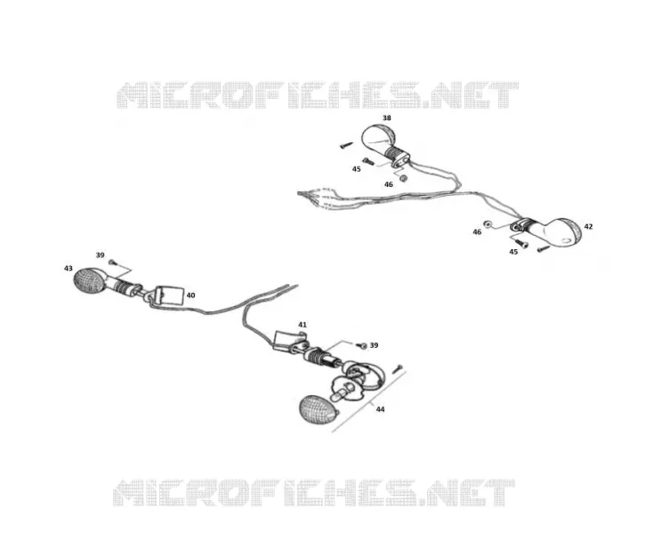 FRECCIA LAMPEGGIATORE